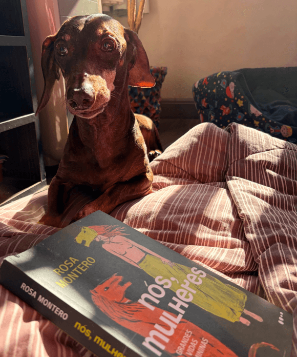 The book nós, mulheres on a bed, next to a dog